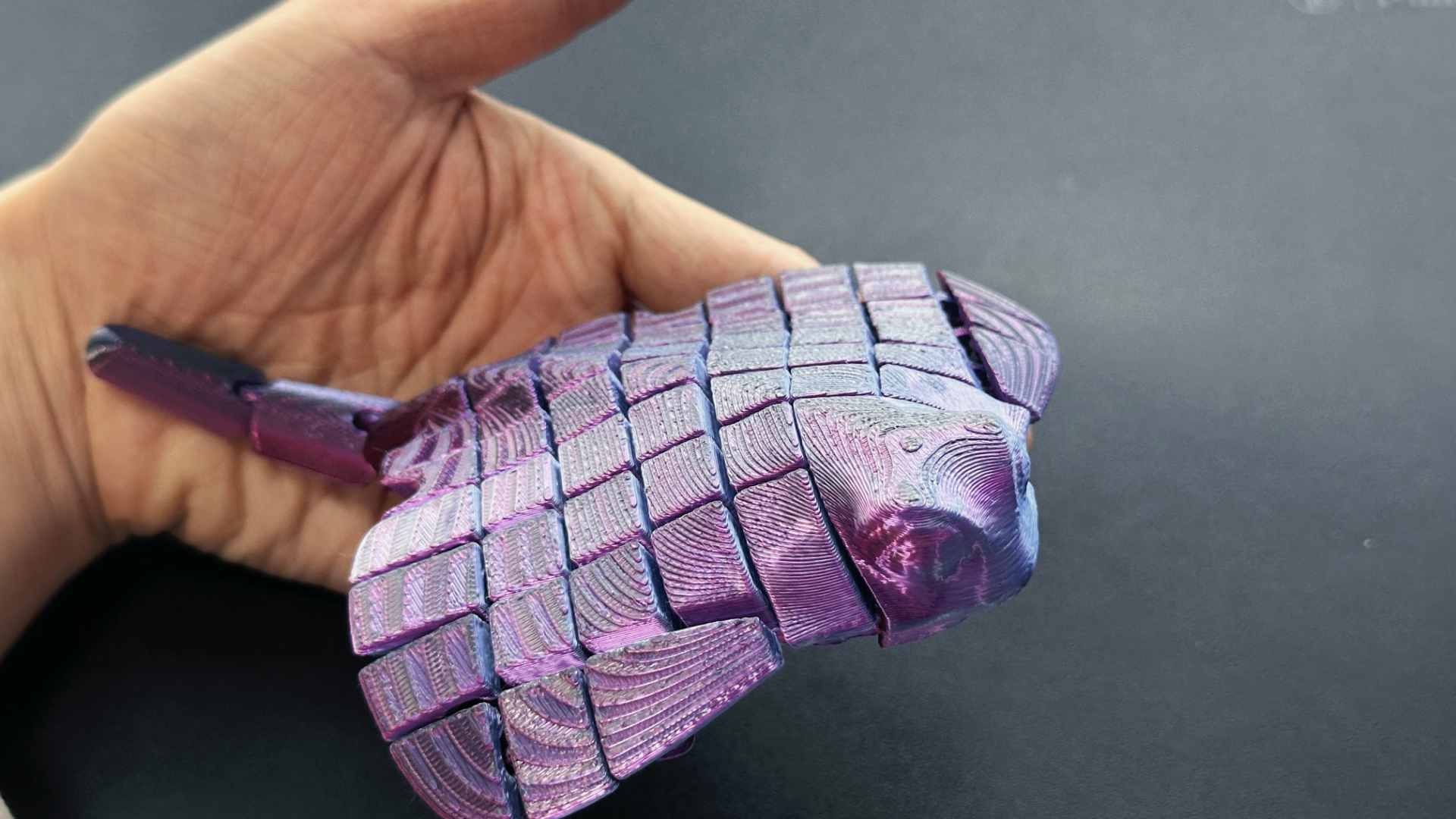 Pește Articulat 3D - imagine galerie