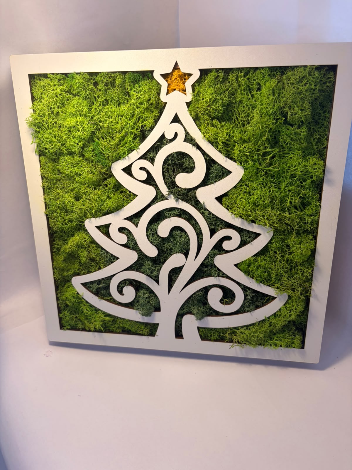 Tablou Decorativ Pătrat cu Siluetă de Brad Ajurat și Mușchi Verde Natural – Kasem Studio