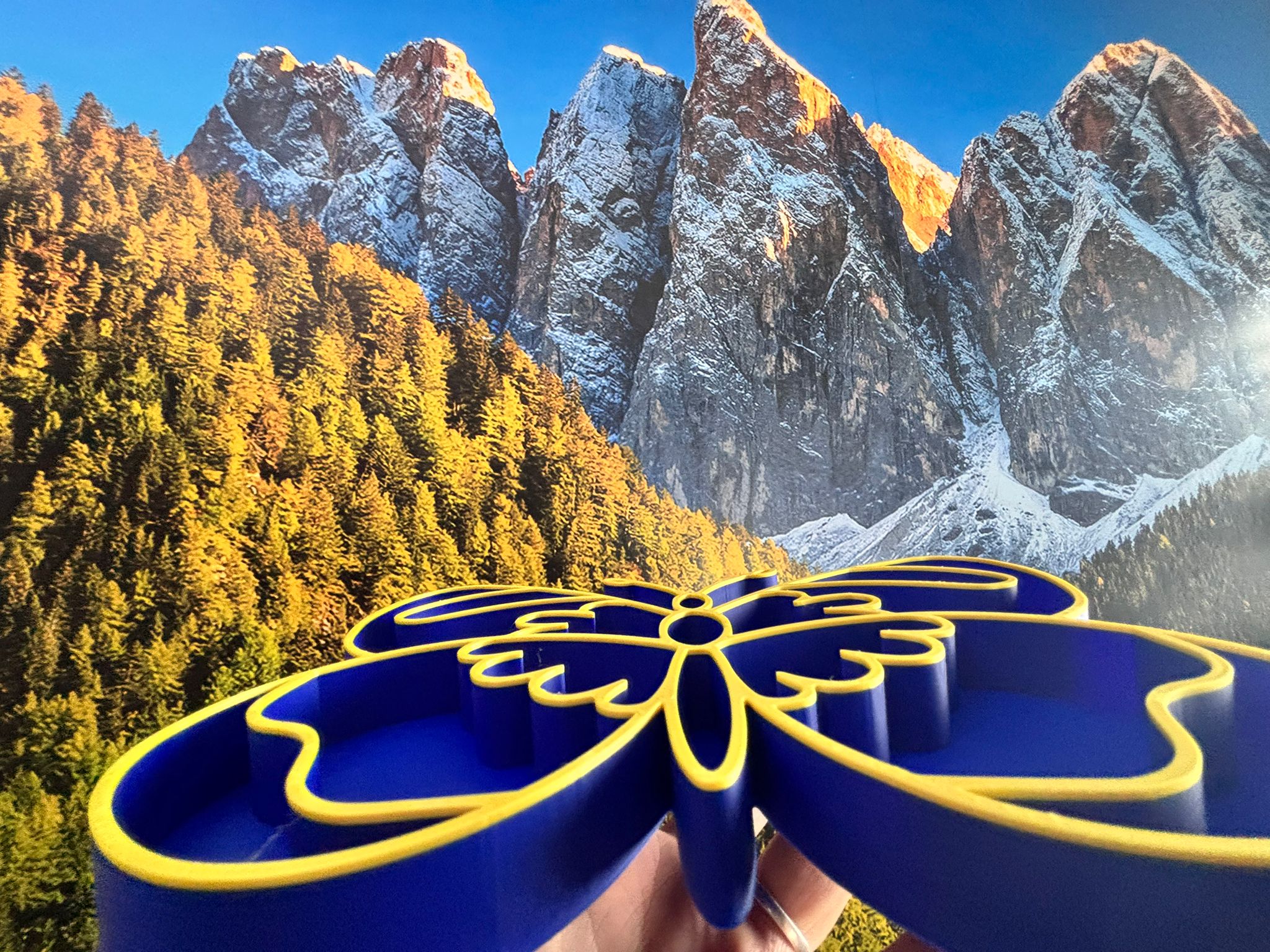 Tăviță Senzorială / Organizator 3D Montessori pentru Copii – Modele Diverse - imagine galerie
