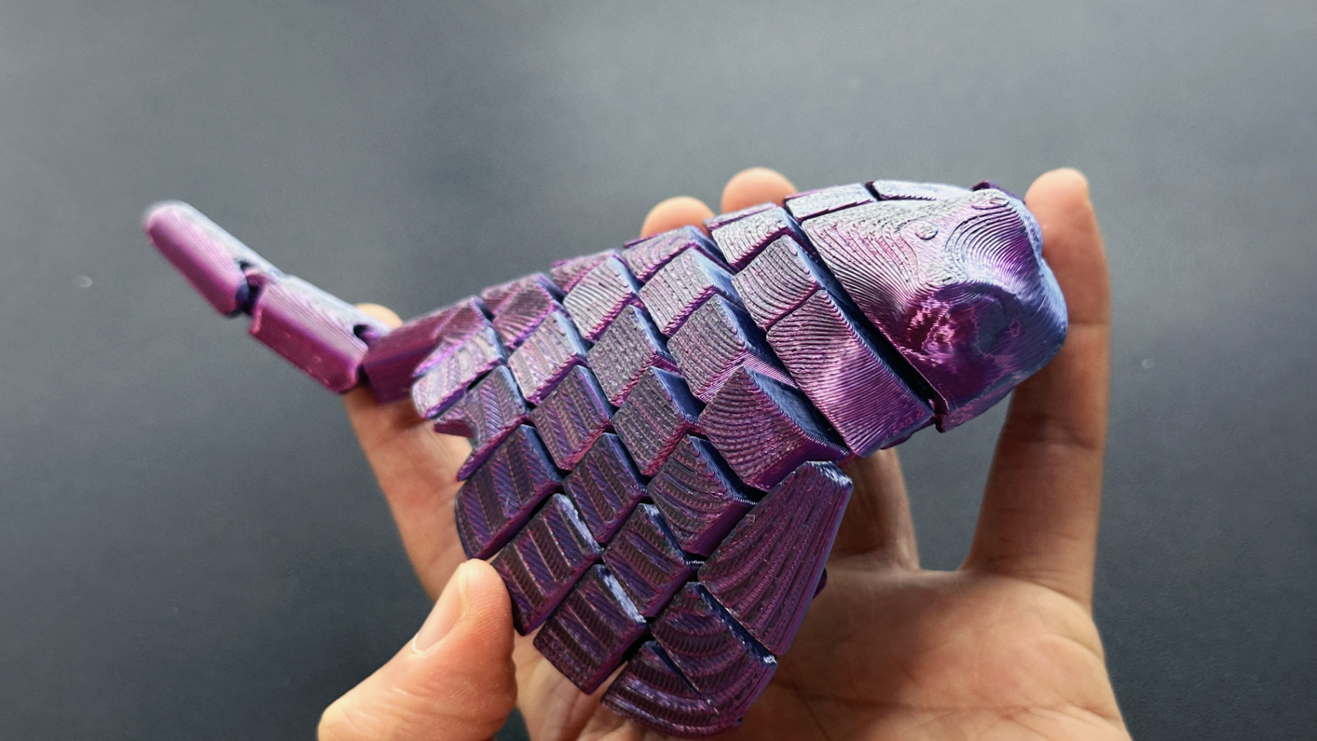 Pește Articulat 3D - imagine galerie