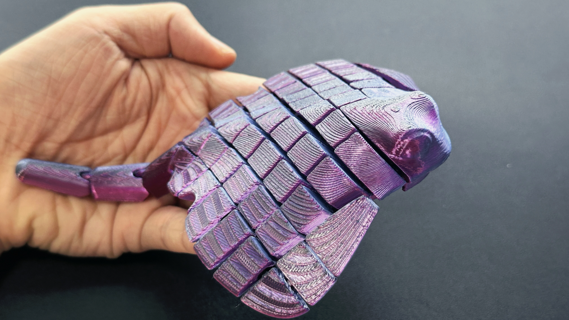 Pește Articulat 3D - imagine galerie
