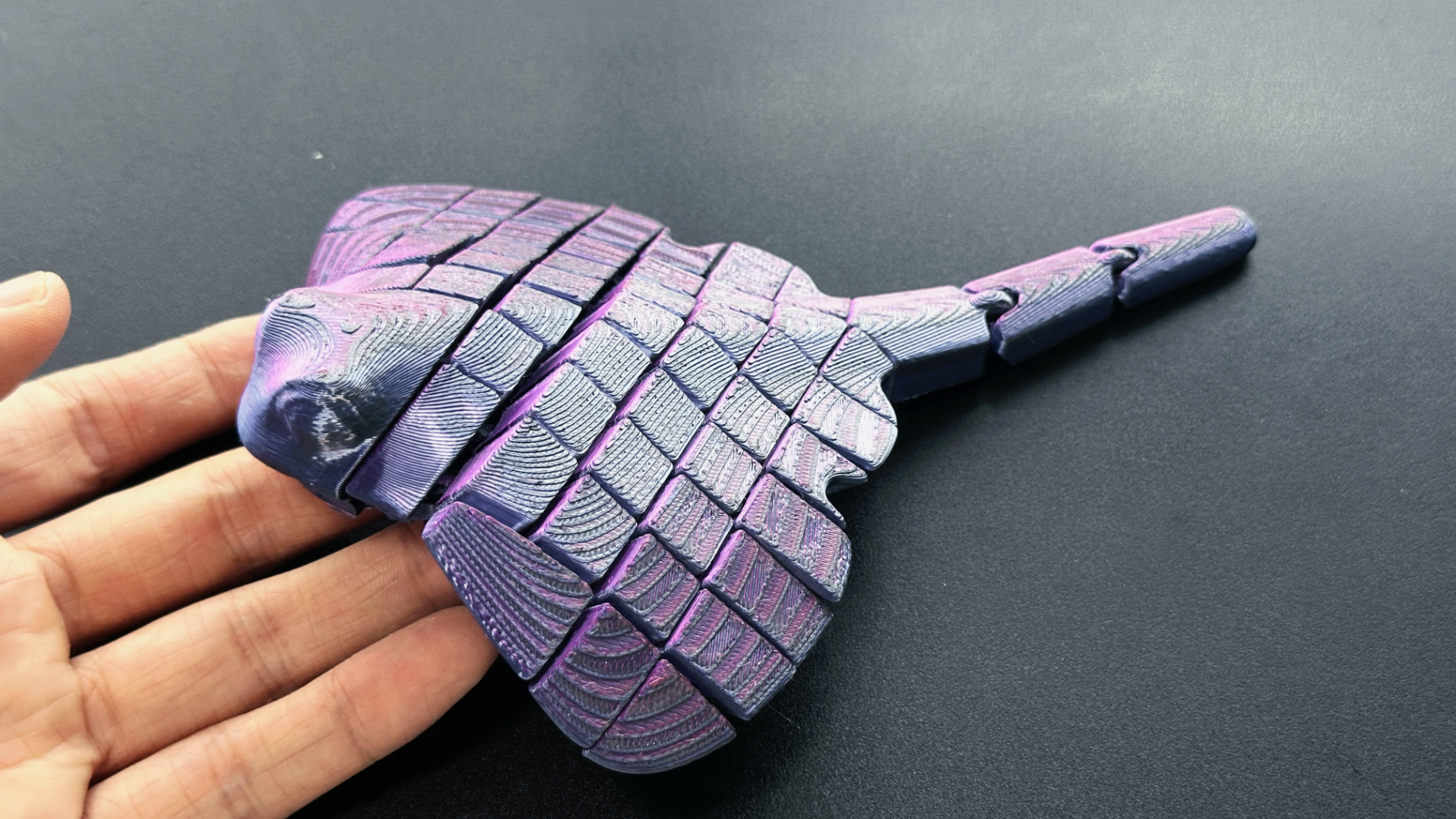 Pește Articulat 3D - imagine galerie