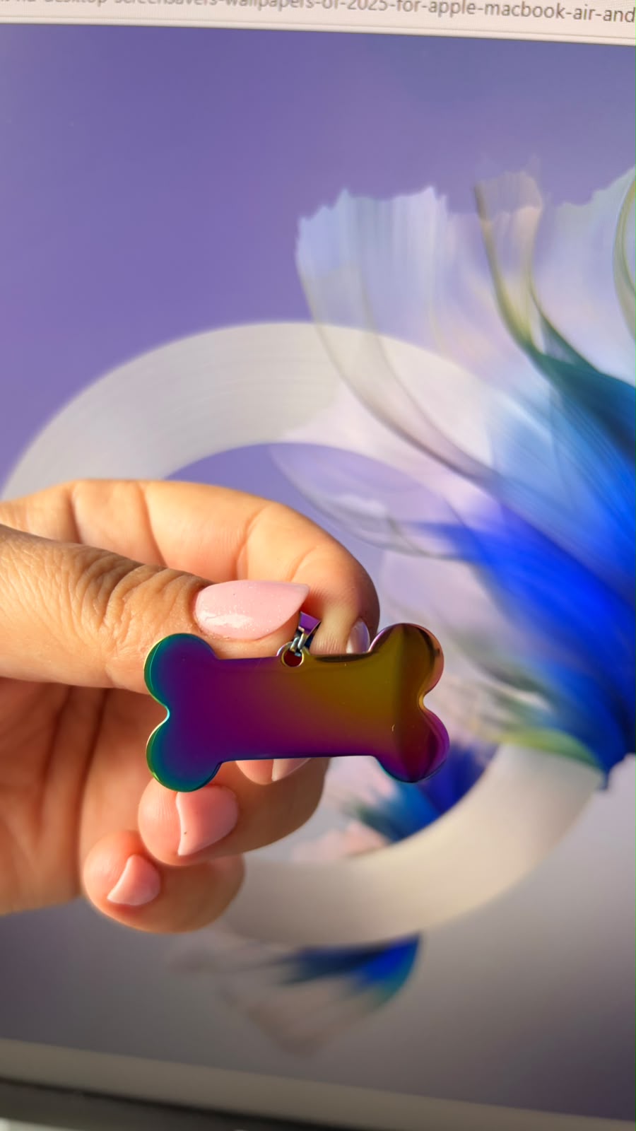Plăcuță personalizabilă în formă de os – Finisaj curcubeu irizat - imagine galerie