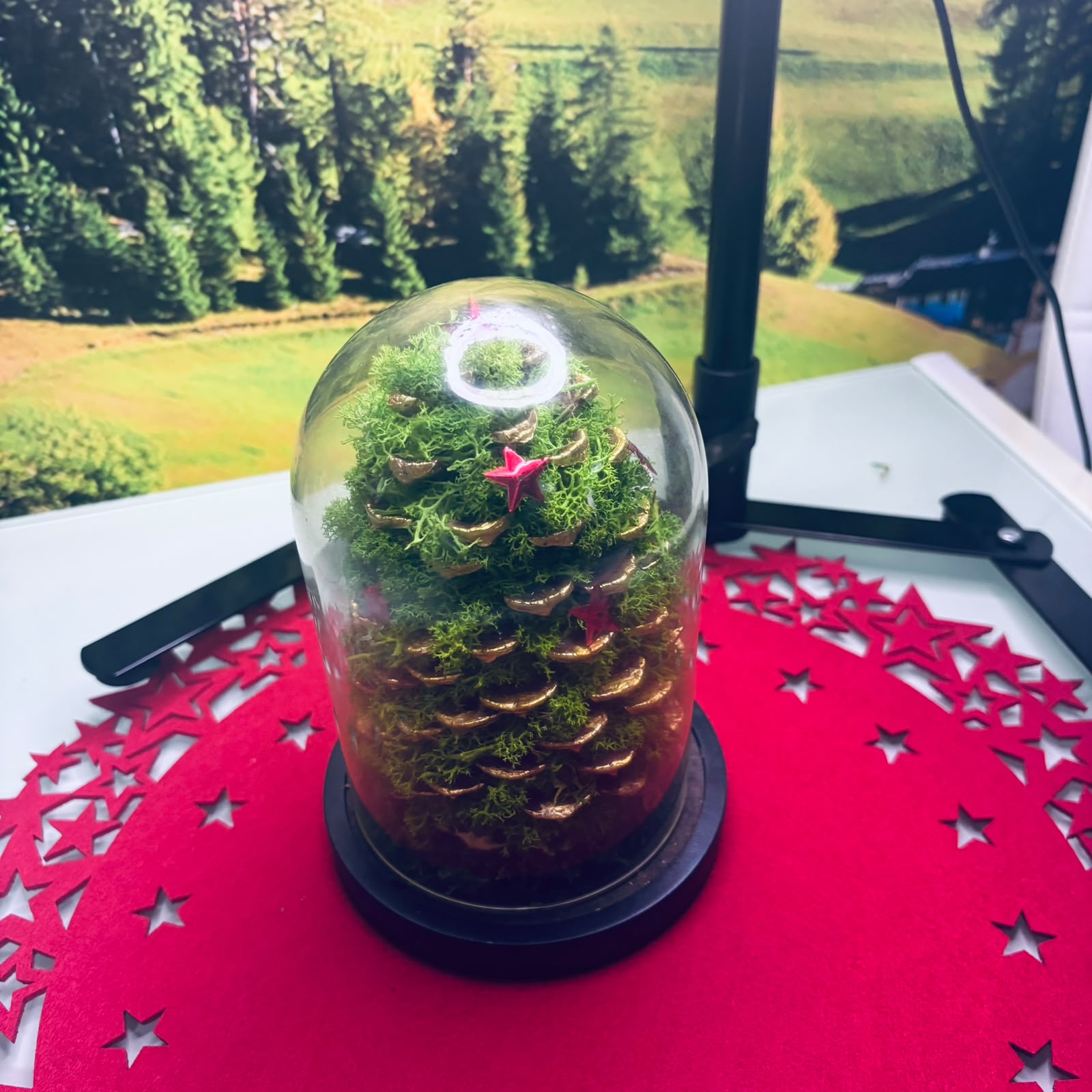 Brad de Crăciun din Licheni în Cupolă Transparentă – Decorațiune Handmade